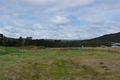 Property photo of 221 Diamondvale Road Diamondvale QLD 4380