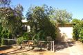 Property photo of 21 Kurrajong Avenue Renmark SA 5341