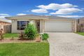 Property photo of 17 Hasemann Crescent Upper Coomera QLD 4209