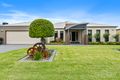 Property photo of 46 Kathryn Crescent Yarrawonga VIC 3730