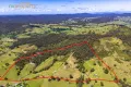 Property photo of 99 Whip Mountain Road Yarranbella NSW 2447