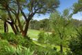 Property photo of 4 Riversdale Court Hawthorn VIC 3122