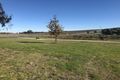 Property photo of 31 Groundberry Avenue Wallan VIC 3756