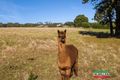 Property photo of 29 Seamists Drive Arthurs Seat VIC 3936