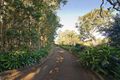 Property photo of 851 Bangalow Road Talofa NSW 2481