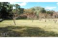 Property photo of 496 Mookerawa Road Mookerawa NSW 2820