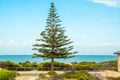 Property photo of 20 Tenggara Avenue Two Rocks WA 6037