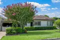 Property photo of 9 Scott Street Toongabbie NSW 2146