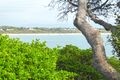 Property photo of 232 Penguins Head Road Culburra Beach NSW 2540