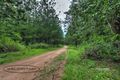 Property photo of 9 Diggings Road Imbil QLD 4570