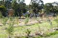 Property photo of 5 Stephen Street Campbells Creek VIC 3451