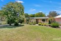 Property photo of 26 Buna Terrace Nuriootpa SA 5355