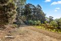 Property photo of 700 Halls Track Road Pelverata TAS 7150