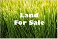 Property photo of 40 Lorimer Street Caroline Springs VIC 3023