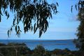 Property photo of 11 Austin Court Lorne VIC 3232