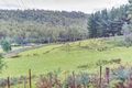 Property photo of 268 Priestleys Lane Birralee TAS 7303
