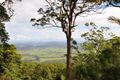 Property photo of 242 Beacon Road Tamborine Mountain QLD 4272