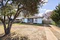 Property photo of 16 Collins Avenue Dubbo NSW 2830