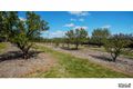 Property photo of 3 Melrose Drive Raglan NSW 2795