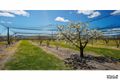 Property photo of 3 Melrose Drive Raglan NSW 2795