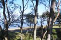 Property photo of 40 Wall Road Gorokan NSW 2263