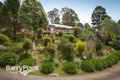 Property photo of 9 Sellars Road Emerald VIC 3782