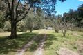 Property photo of 249 Zig Zag Road Calder TAS 7325