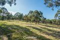 Property photo of 85 Ferndale Road Upper Ferntree Gully VIC 3156