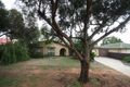 Property photo of 7 Electra Avenue Parafield Gardens SA 5107