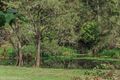 Property photo of 50 Fyfes Road Gilston QLD 4211