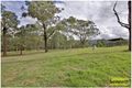 Property photo of 89 Overton Road Kurrajong NSW 2758