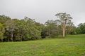 Property photo of 2657 Mount Mee Road Ocean View QLD 4521