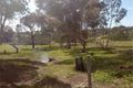Property photo of 180 Richardson Road Boston SA 5607