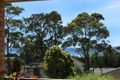 Property photo of 8 Parker Avenue Surf Beach NSW 2536