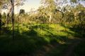 Property photo of 349 Gormleys Road Seaforth QLD 4741