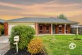 Property photo of 9 Alberta Way Berwick VIC 3806
