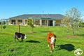 Property photo of 17 Bluett Close Forest Reefs NSW 2798
