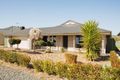 Property photo of 19 Lindner Crescent Lyndoch SA 5351