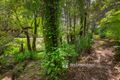 Property photo of 21 Alexander Road Cockatoo VIC 3781
