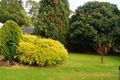 Property photo of 17 Milperra Avenue Banksia Park SA 5091