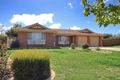 Property photo of 484 Anson Street Orange NSW 2800