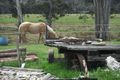 Property photo of 1658 Upper Esk Road Upper Esk TAS 7214