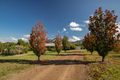 Property photo of 16 Craven Close Gloucester NSW 2422