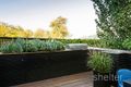 Property photo of 16A Peate Avenue Glen Iris VIC 3146