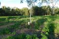 Property photo of 398 Riley Road Cape Cleveland QLD 4810