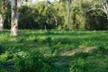 Property photo of 398 Riley Road Cape Cleveland QLD 4810