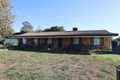 Property photo of 17 Lower Morton Street Forbes NSW 2871