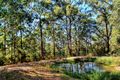 Property photo of 407 Brandenburg Road Bald Knob QLD 4552