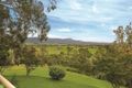 Property photo of 12 Mountain View Terrace Avondale NSW 2530