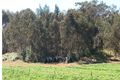 Property photo of 1880 Wanneroo Road Neerabup WA 6031